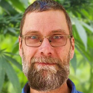 The Importance of Genetic Selection for Cannabis Cultivation